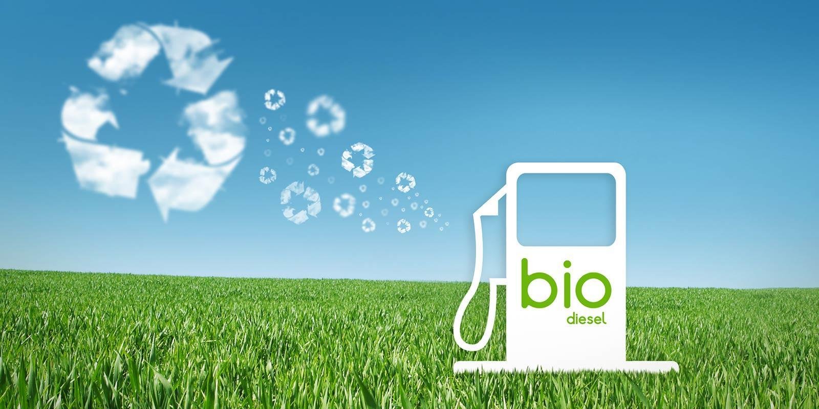 Biofuel testing service