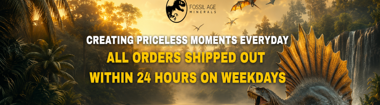 Fossil Age  Minerals