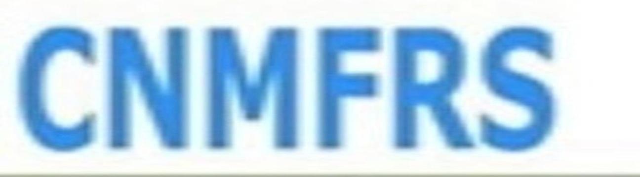 China Manufacturer
