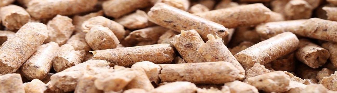 Ecostan Biofuel
