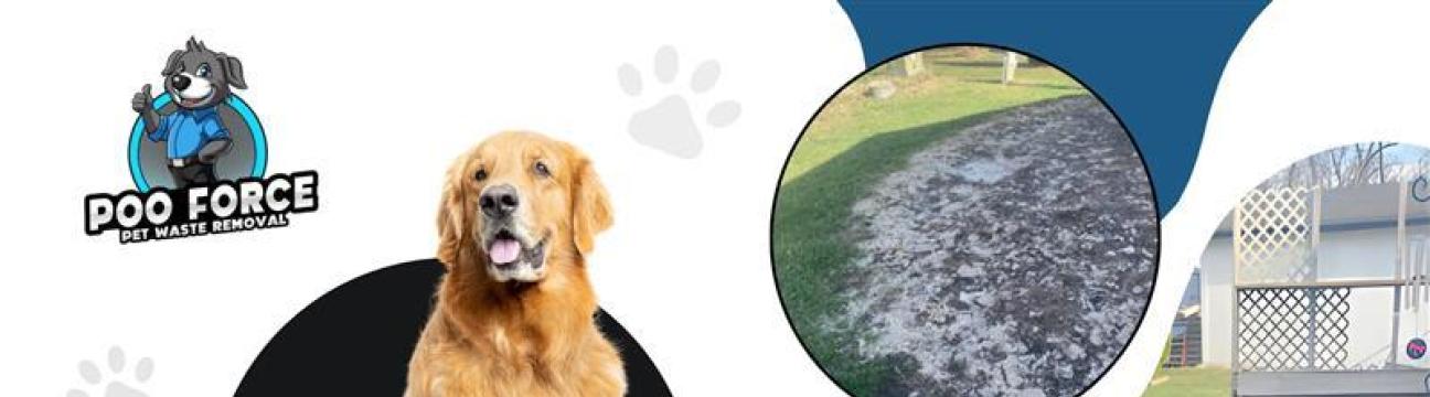 Poo Force Dog Poop Clean Up