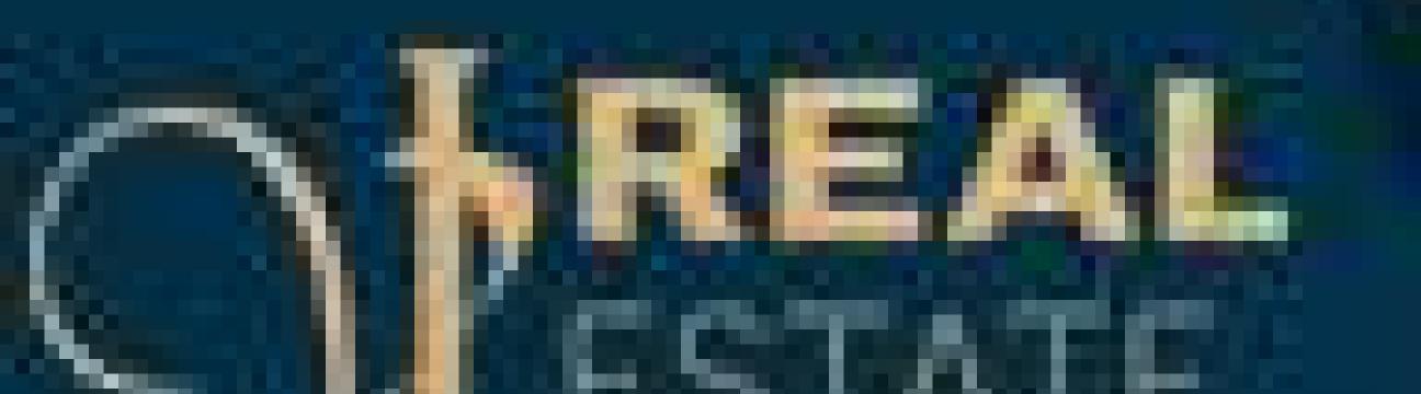 VJ Real Estate