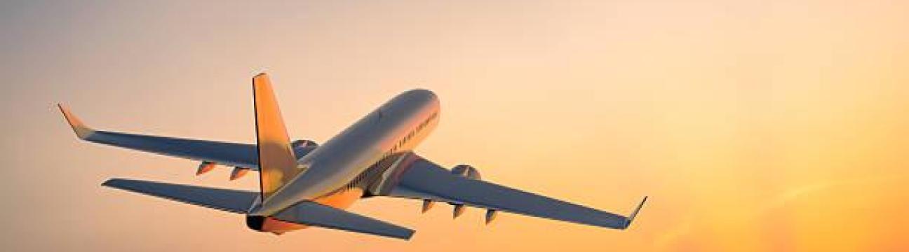 Rushmy Flight